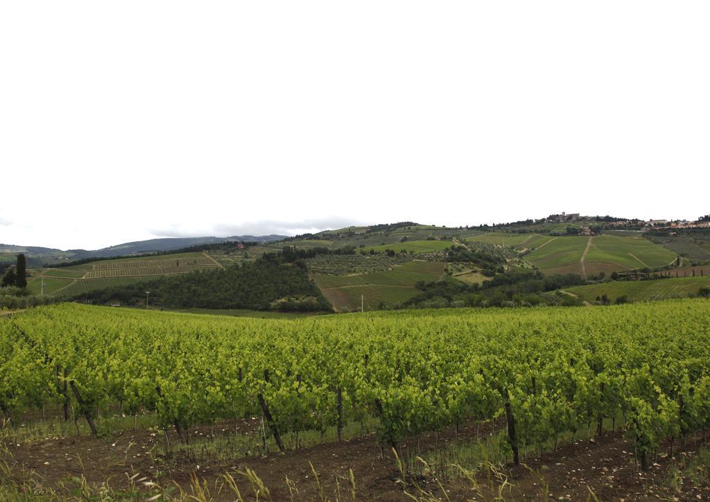 Podere Il Poggiolo Понтасиеве Екстериор снимка