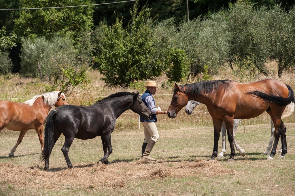 Podere Il Poggiolo Понтасиеве Екстериор снимка