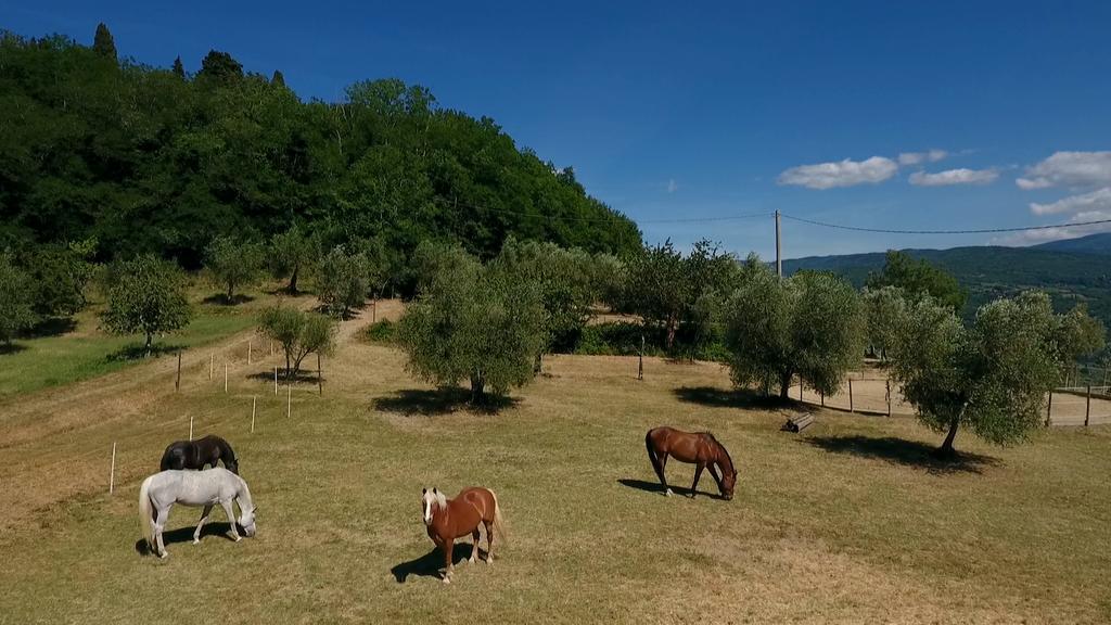 Podere Il Poggiolo Понтасиеве Екстериор снимка